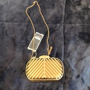 Gold/Bronze Clutch with Chain